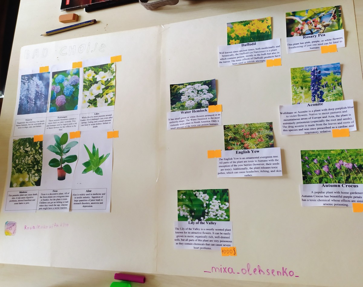Учим ботанику на английском